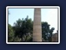 Μετά την αποκατάστασή του, ο μοναδικός κίονας που διασώζεται (ύψους 20,.25μ) μαρτυρά τις επιβλητικές διαστάσεις του Ναού του Δία